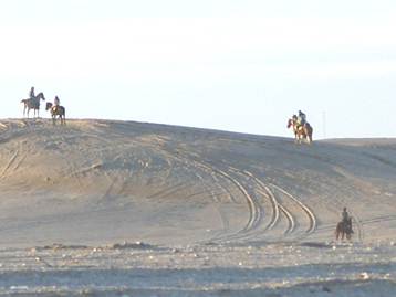 En esta zona de médanos cayó la máquina