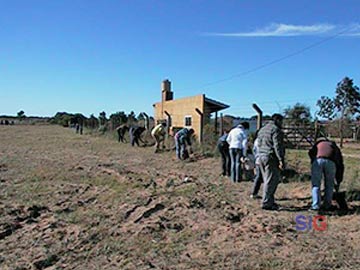 Foto de archivo: año 2002 forestacion del predio del club de  Rugby 