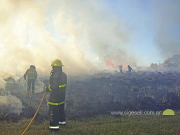 Bomberos y quema de pastizales: un dolor de cabeza de cada año (foto de archivo)