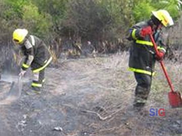 Bomberos: algo más que apagar incendios