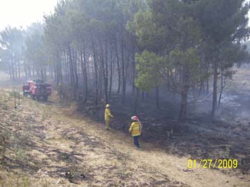 Bomberos en plena tarea (foto gentileza bomberos Voluntarios)