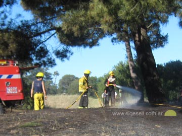 Como es común a esta altura del año, incendio de pastizales (foto Bomberos Mar Azul)