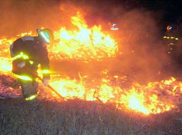 Bomberos en plena tarea (Foto gentileza Bomberos Voluntarios)