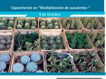 El Pro Huerta ofrecerá un interesante taller el 9 de octubre