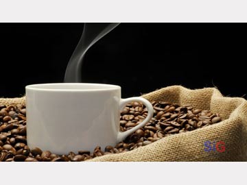 Los grandes propagadores del café fueron los holandeses.