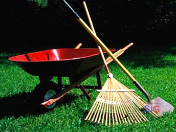 sencillos consejos para conseguir un jardín saneado y preparado, para la primavera