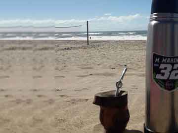 CBSé desmitifica 5 mitos y verdades de la infusión (foto gentileza M Chambers)