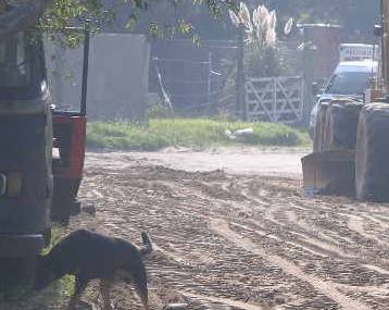Calles de Monte Rincón. Vecinos reclaman por vandalismo        
