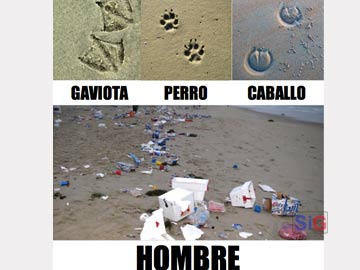 Plaga Positiva es un grupo de porteños que concientizan sobre la limpieza
