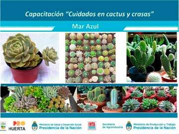 afiche promocional de la actividad que coordina el tecnico Andres Román