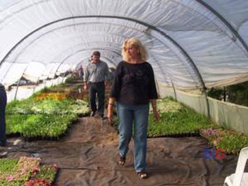 El Proseal fue un ejemplo de vivero público (foto archivo 2005)