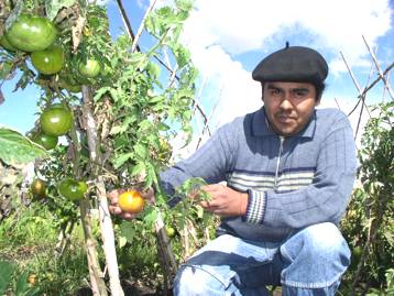 Andres Román 