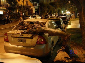 Así quedó la pesada rama sobre el automovil (foto gentileza SF)