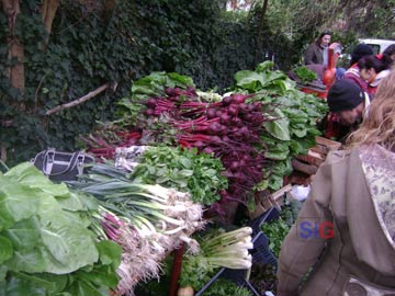 stand madariaguense,con sus vegetales de producción orgánica. 
