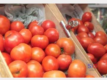 El tomate perita marcha al frente del aumento en el año