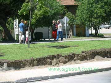 las nuevas veredas: imágen de boulevard entre 114 y 115        